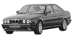 BMW E34 P396C Fault Code